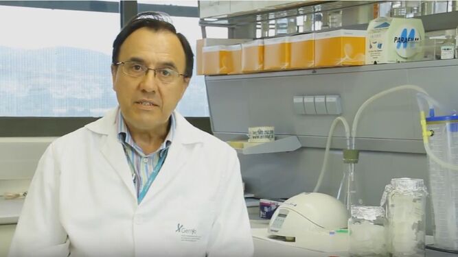 El doctor Manuel Jurado Chacón, responsable de la Unidad de Gestión Clínica de Hematología.