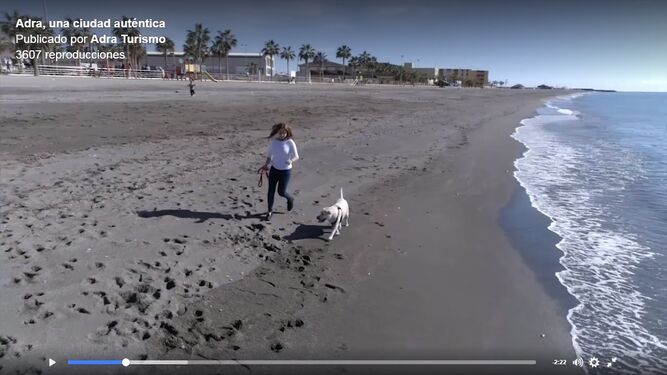 Captura del vídeo promocional en el que se promociona la playa para mascotas.