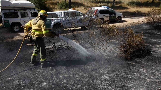 Un bombero refrescaba ayer el terreno afectado por el incendio de Cartaya.