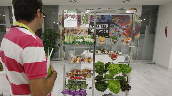 Rijk Zwaan presentó las novedades que exhibirá este año en Fruit Attraction.