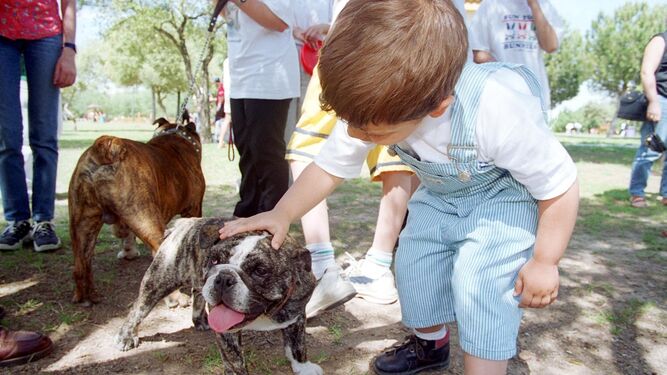Una niño acaricia a un perro en un parque canino.