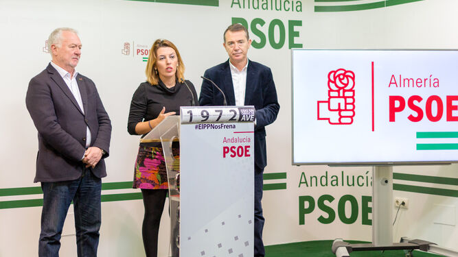 Los diputados nacionales y el senador del PSOE de Almería.