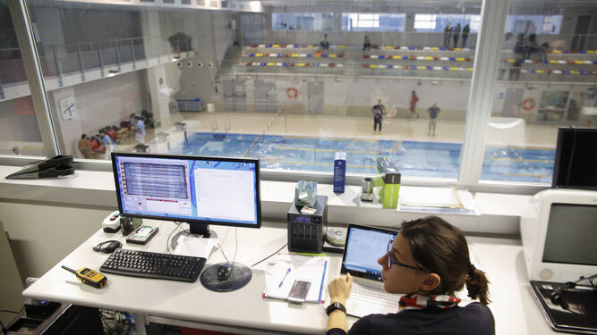Un ordenador desarrollado por la UGR recoge en tiempo real los movimientos de los nadadores.