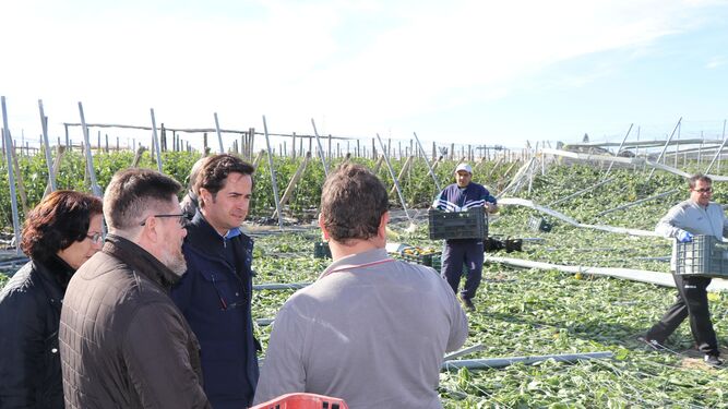 El consejero de Agricultura y el alcalde de El Ejido visitaron la zona afectada.