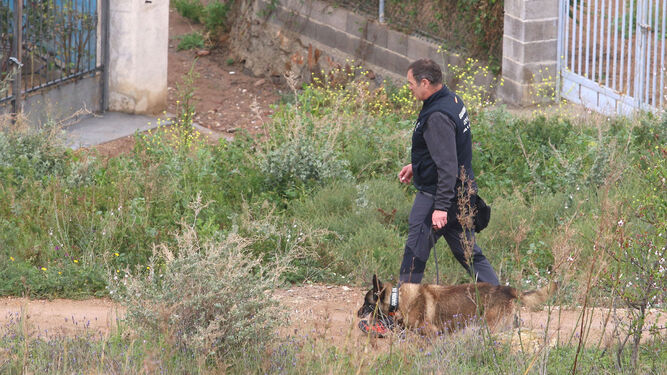 También hicieron acto de presencia los canes de la Guardia Civil.