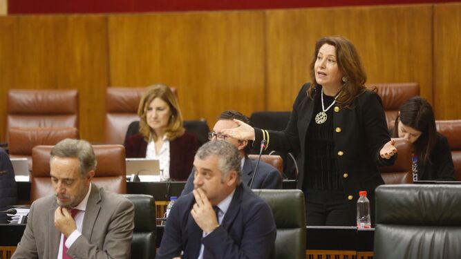 Carmen Crespo durante su intervención ayer en el Parlamento.