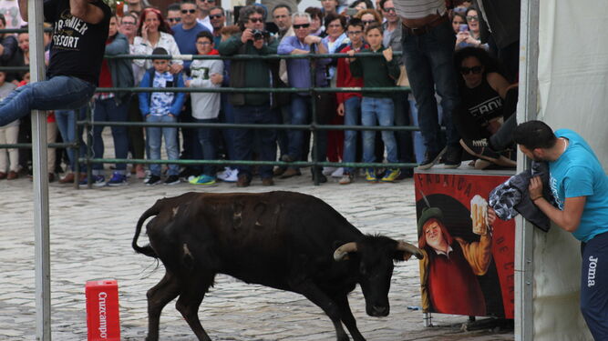 Uno de los corredores intenta ponerse a salvo de la primera de las vaquillas soltadas ayer en la plaza de San Jorge.