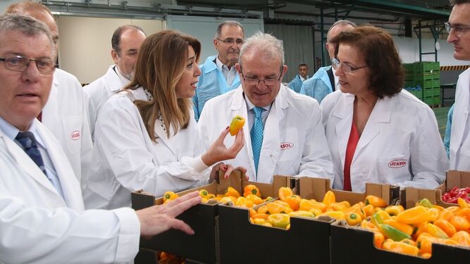 La presidenta de la Junta de Andalucía, Susana Díaz, durante su visita a las instalaciones de Vicasol, junto a su directiva y el alcalde de Vícar.