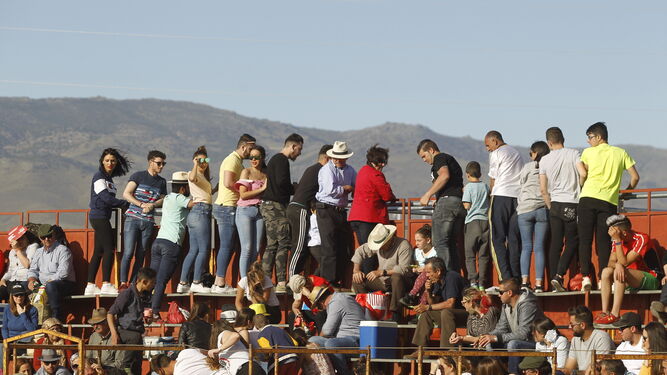 Fotogaler&iacute;a Festival Taurino Mixto. Fiestas de Abrucena.