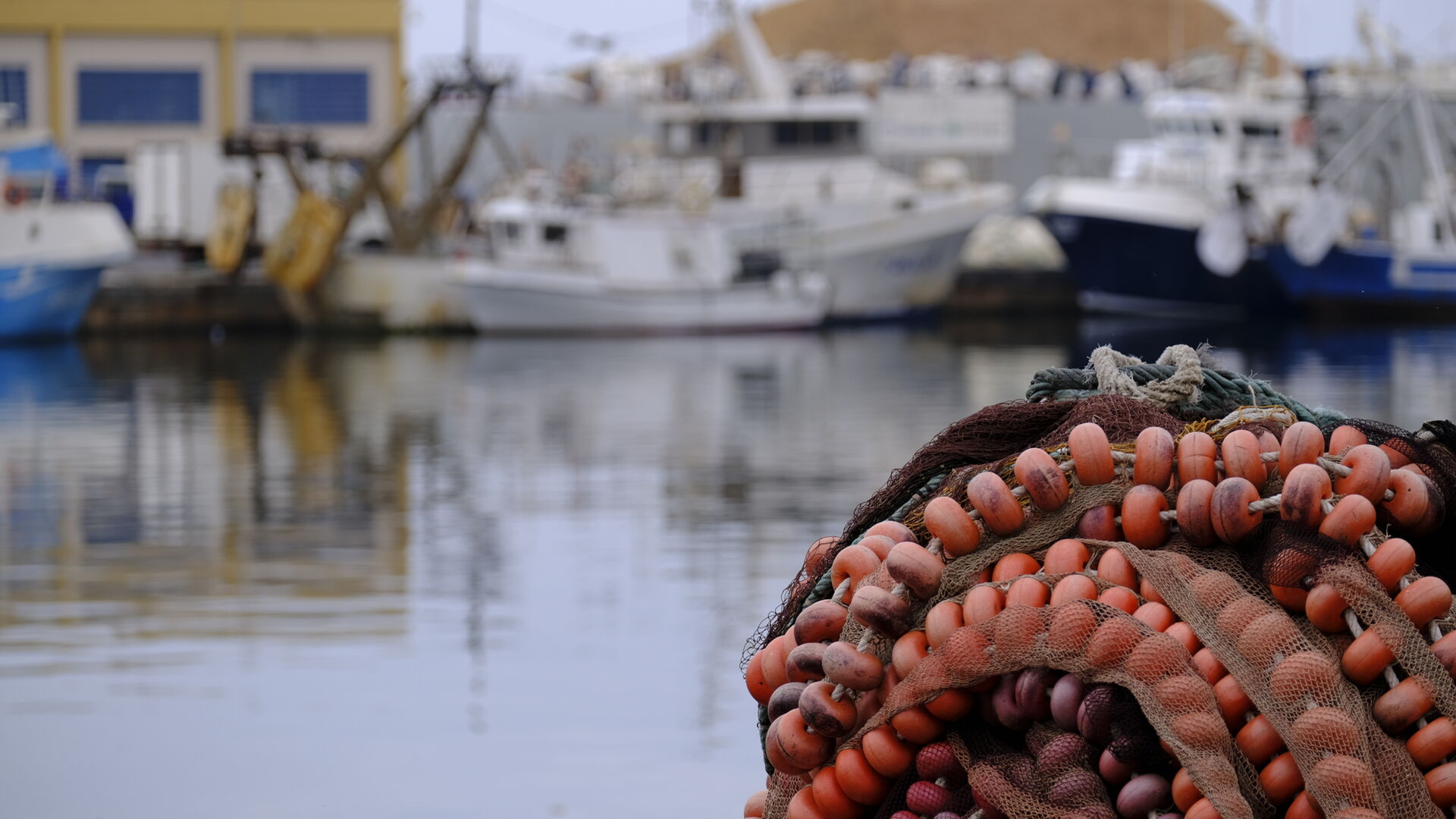Fotogaler&iacute;a concentraci&oacute;n protesta sector pesquero. Almer&iacute;a
