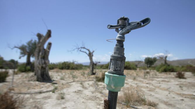 El paraguas sin abrir: ni rastro de las lluvias en un mal inicio del año hidrológico en Almería