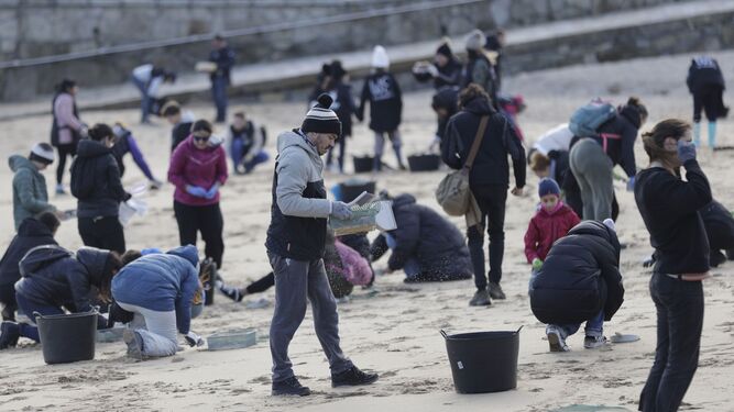 Voluntarios recogen pellets  de plástico en la playa de San Amaro, en la Coruña, hace un mes.