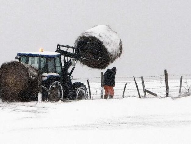 Un ganadero con su tractor observa la nieve acumulada en Orzales, Cantabria.

Foto: Esteban Cobo (Efe)