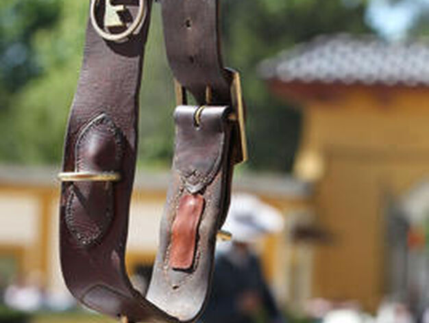 Detalle de un collar con campana para la yegua, ayer, con un jinete al fondo.

Foto: Miguel Angel Gonzalez