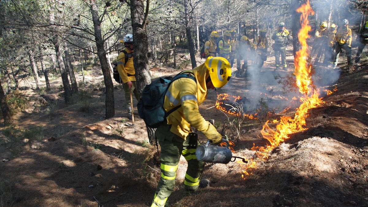 Primeras llamas de la jornada práctica sobre fuego técnico en la Sierra de Gádor.