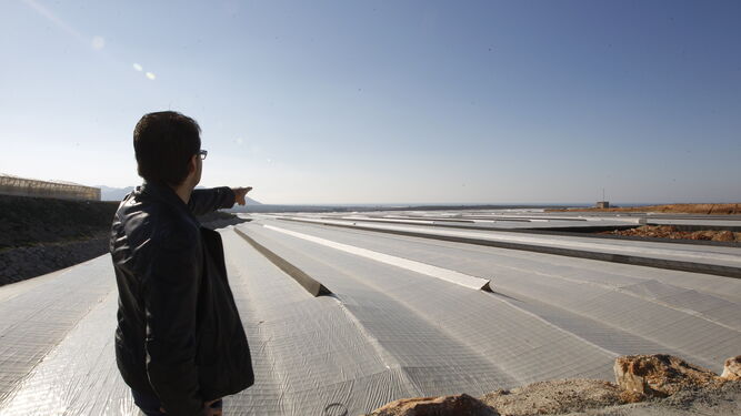 Los techos de los invernaderos podrían resolver parte de las necesidades hídricas y también eléctricas de la provincia almeriense.