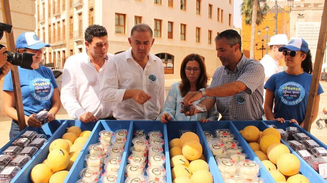 El Sindicato de Regantes del Trasvase Tajo-Segura comenzó la campaña a finales de julio en Murcia.