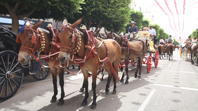 Un carro de mulas y caballos en  El Paseo.