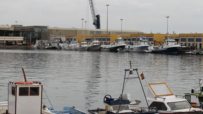 Parada de arrastre en abril en el puerto almeriense. Sólo uno de 21 barcos recibió ayudas.