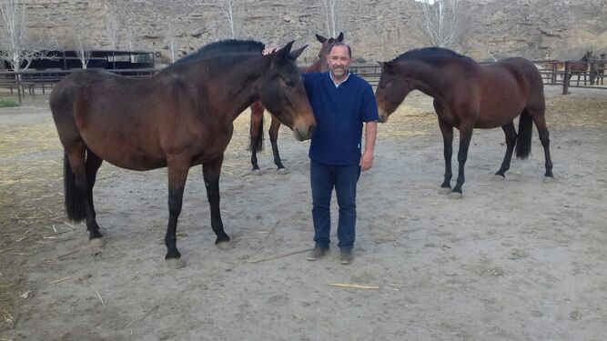 El veterinario especialista en equinos Guillermo Rodríguez en una yeguada.
