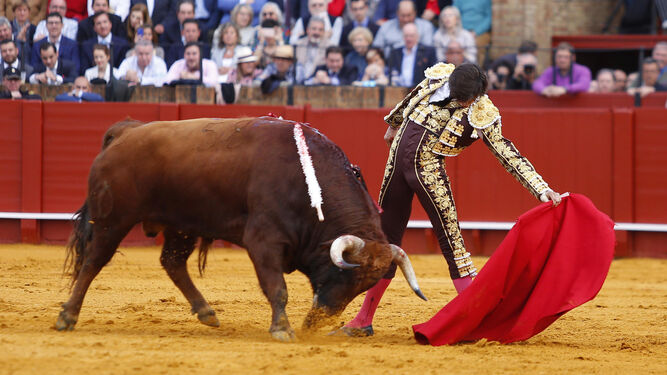 Andrés Roca Rey, en un natural al tercer toro, al que cortó una oreja.