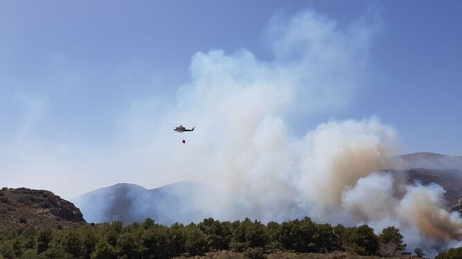 Tres naves aéreas participaron ayer en las tareas de extinción del incendio de la Sierra de Felix.