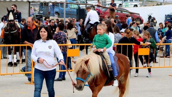 Albox celebra la Feria del Ganado Equino
