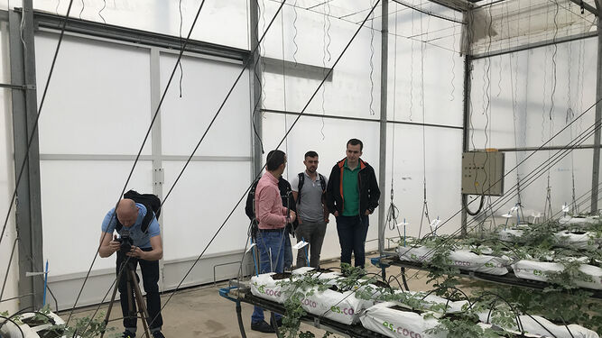 Visita de la delegación polaca a uno de los cultivos en Almería.