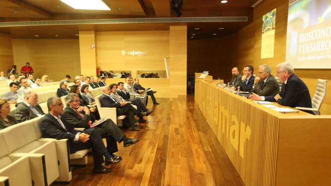 El Centro de Cultura de Cajamar en Almería acogió ayer la presentación del 31 volumen de la colección Mediterráneo Económico.