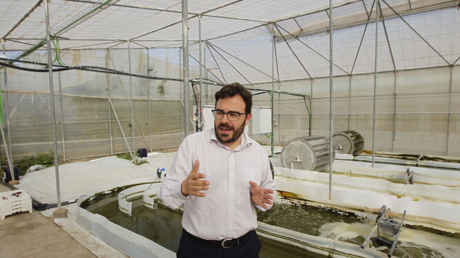 David Iglesias, director de la firma, en las instalaciones donde se encuentran los reactores de microalgas.