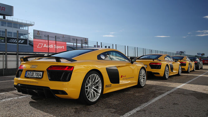 Cerca de 20 Audi R8 esperan en el 'paddock' del Jarama para ser conducidos.
