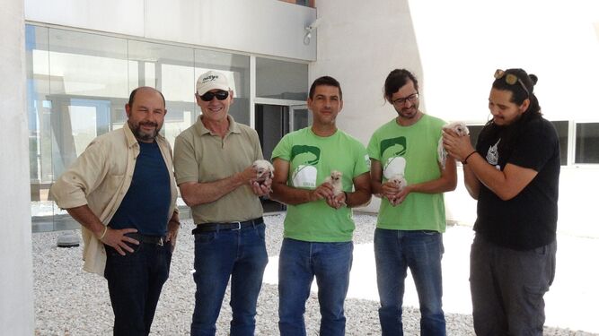 Personal de GREFA, Reserva zoológica Oasys, Serbal y CECOUAL el día que los pollos llegaron al campus universitario.