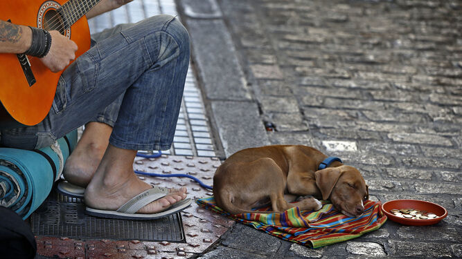 Una persona pide limosna en una calle de Cádiz junto a su perro.