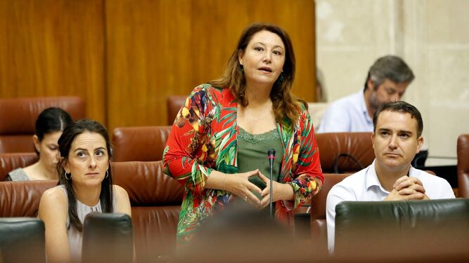 Intervención de Carmen Crespo hoy en el Parlamento de Andalucía