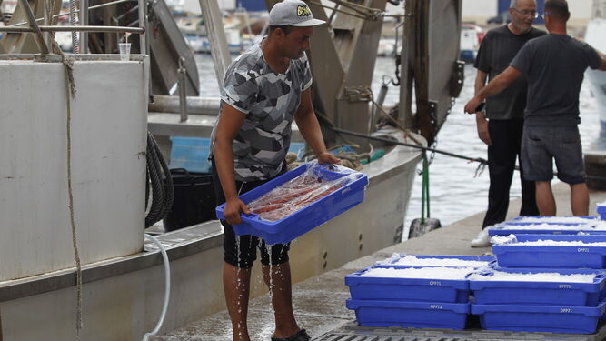 Arrastre en el mediterráneoAguilera se planta con 59 enmiendas al plan de pesca en Europa