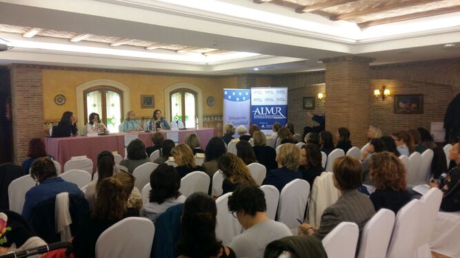 Imagen de una sesión anterior celebrada por ALMUR y la Diputación Provincial.