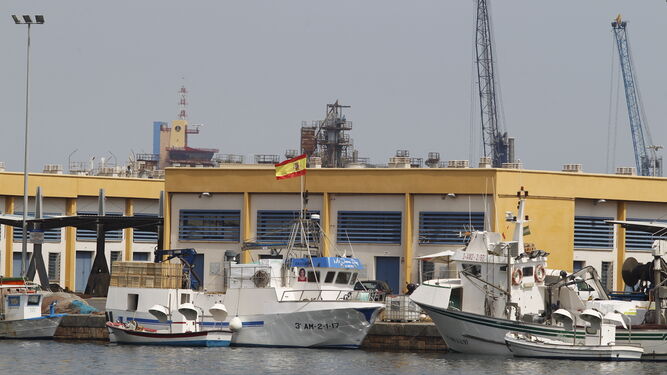 Imagen del puerto pesquero de la capital.