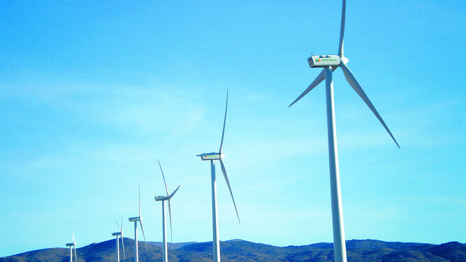 Parque eólico de Iberdrola, una de las empresas con financiación verde de BBVA.