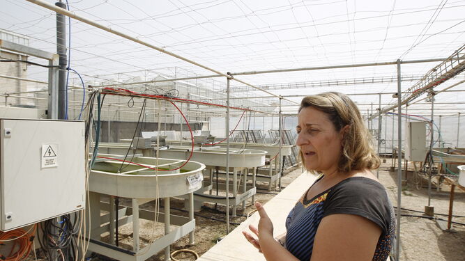 Alicia González Céspedes, en las instalaciones de la Estación Experimental Cajamar, en Las Palmerillas.