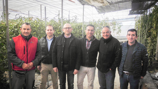 Técnicos y el concejal de Agricultura visitaron un invernadero en El Ejido.