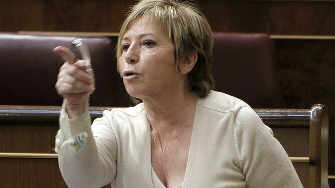 Celia Villalobos interviene en el Congreso.