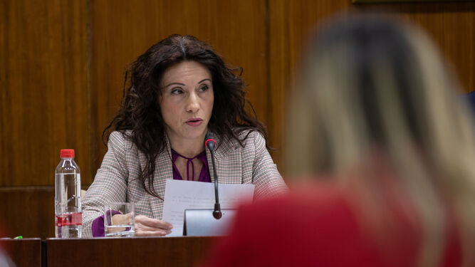 La consejera de Igualdad, Rocío Ruiz, hoy miércoles en el Parlamento.