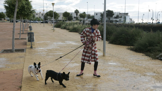 Una mujer saca a los perros para que hagan sus necesidades
