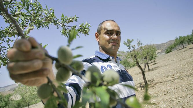 Miguel Ángel Ortiz, joven agricultor albojense en su finca, donde tiene implantado el riego por goteo para los almendros.
