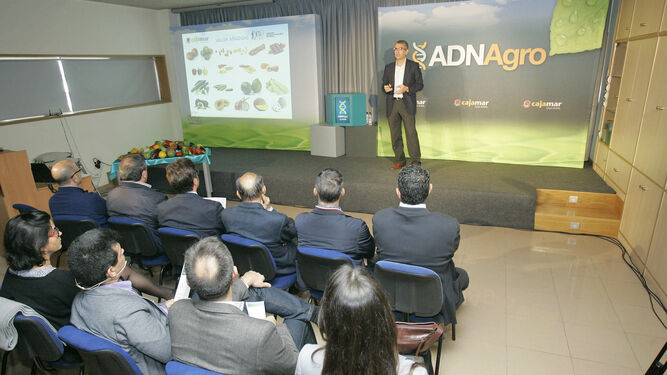 Roberto García Torrente, director de Innovación Agroalimentaria de Cajamar, en una jornada sobre alimentación.