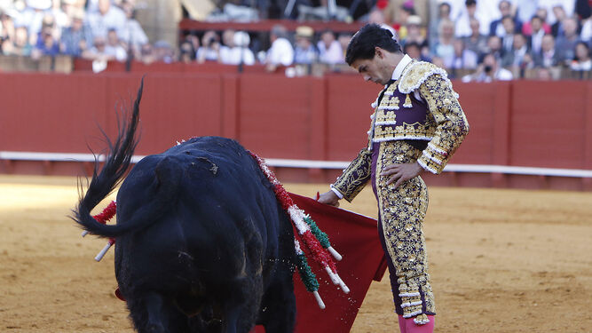 Pablo Aguado, en un derechazo, con suma naturalidad, a su primer toro el pasado 10 de mayo en la plaza de toros de Sevilla.