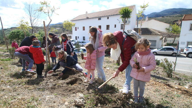Entre las actividades hubo una plantación de árboles de niños.