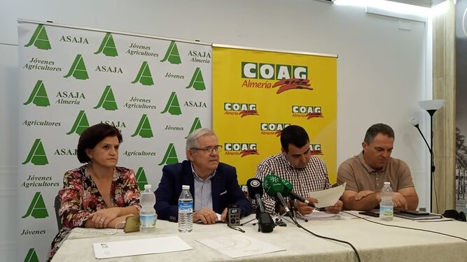 Asaja y Coag mostraron denunciaron ayer que el Ministerio de Agricultura no ajuste la fiscalidad en Almería.