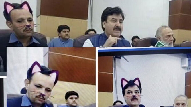 El directo con los políticos paquistaníes y el filtro modo gato activado