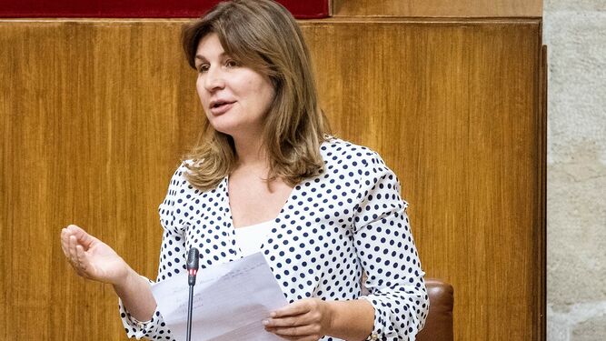 Rosalía Espinosa, durante una intervención en el Parlamento de Andalucía.